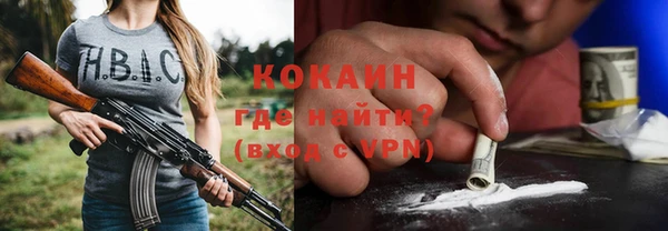 сатива Беломорск