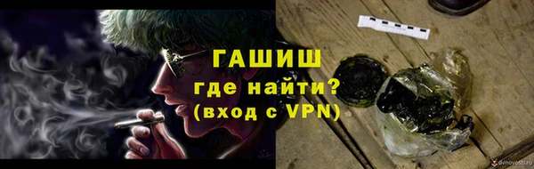сатива Беломорск