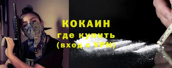 сатива Беломорск