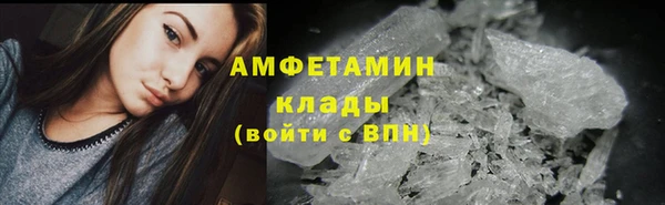 сатива Беломорск