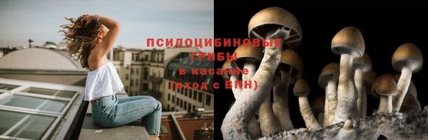 прущий лед Белокуриха