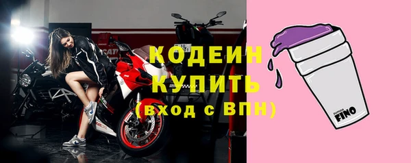 сатива Беломорск