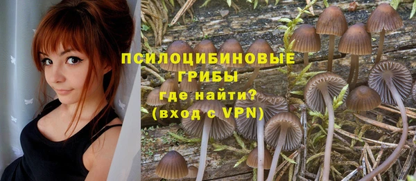 стаф Белоозёрский