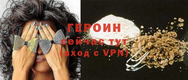 сатива Беломорск