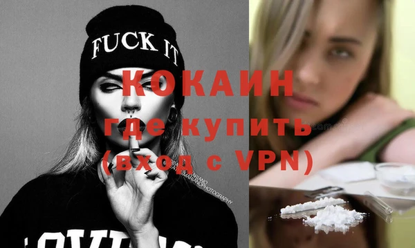 сатива Беломорск
