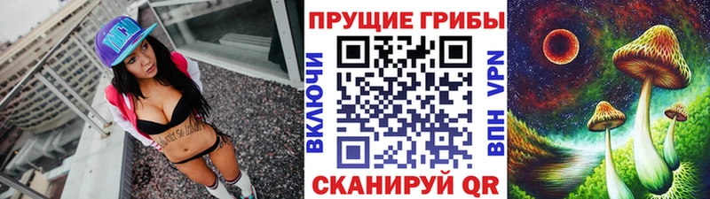 Псилоцибиновые грибы мицелий  купить   Кубинка 